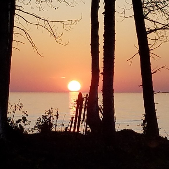 Meet your Posher, Edward - Picture 1 of 1